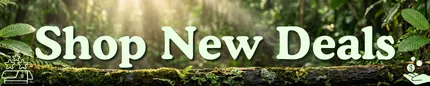 Shop New Deals